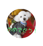 王様ふく様参上（個別スタンプ：33）