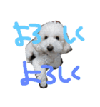 王様ふく様参上（個別スタンプ：34）