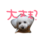 王様ふく様参上（個別スタンプ：35）