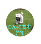 王様ふく様参上（個別スタンプ：37）