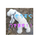 王様ふく様参上（個別スタンプ：40）