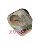 ネロくん＆さーちゃん（個別スタンプ：2）