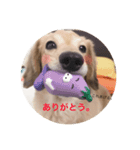ピットくん（個別スタンプ：3）