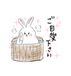 デスマスうさぎ『ウサです』（個別スタンプ：13）