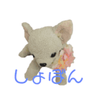 くんくんティラミス（個別スタンプ：1）