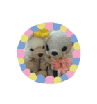 くんくんティラミス（個別スタンプ：13）