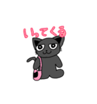 すわり目ネコのくろにゃん（個別スタンプ：11）