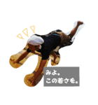 山田ファミリー☆2（個別スタンプ：6）