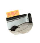 ジジとショコラ（個別スタンプ：1）