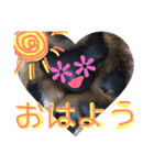 あいの肉球（個別スタンプ：2）