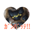 あいの肉球（個別スタンプ：14）