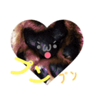 あいの肉球（個別スタンプ：22）