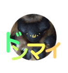 あいの肉球（個別スタンプ：25）