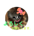 あいの肉球（個別スタンプ：28）