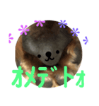 あいの肉球（個別スタンプ：29）