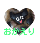 あいの肉球（個別スタンプ：31）