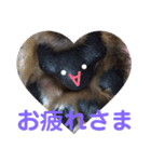 あいの肉球（個別スタンプ：32）