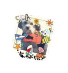 トイプードルのファーブル 2（個別スタンプ：21）