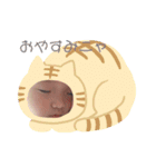 谷崎家の愛娘いとちゃん癒しスタンプです（個別スタンプ：11）