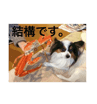 女池（個別スタンプ：1）