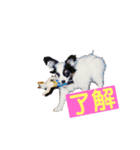女池（個別スタンプ：3）