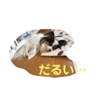 女池（個別スタンプ：8）
