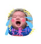 林の林家（個別スタンプ：10）