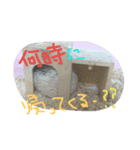 はりねずみのマロンちゃん①（個別スタンプ：16）