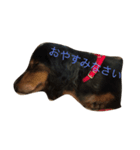 ココちゃん生活（個別スタンプ：2）