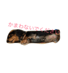 ココちゃん生活（個別スタンプ：8）