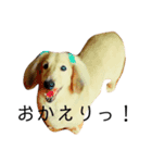 ダサかわ犬 それ行け ななぴ（個別スタンプ：2）