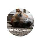 ジャックと一緒♪（個別スタンプ：1）