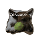 ジャックと一緒♪（個別スタンプ：5）