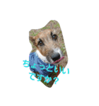 ジャックと一緒♪（個別スタンプ：9）
