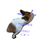 ジャックと一緒♪（個別スタンプ：12）