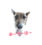 ジャックと一緒♪（個別スタンプ：14）
