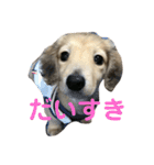 むう太のあいさつスタンプ（個別スタンプ：10）