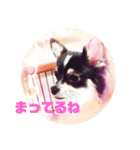 ルゥスタンプ（個別スタンプ：5）