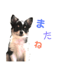 ルゥスタンプ（個別スタンプ：8）