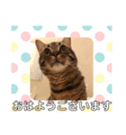 まるこ と ぽるこ（個別スタンプ：11）