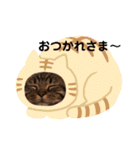 まるこ と ぽるこ（個別スタンプ：14）