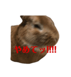 うさぎのつくしくん2（個別スタンプ：4）