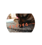 私の名前は、
はる（個別スタンプ：1）