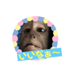 福ちゃん♡♡♡（個別スタンプ：15）