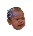 ちゃんまるくん（個別スタンプ：7）