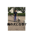 西条のアイドルりおな（個別スタンプ：6）