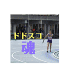 西条のアイドルりおな（個別スタンプ：17）
