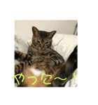 マーガレット その2.1（個別スタンプ：5）