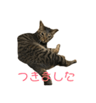 マーガレット その2.1（個別スタンプ：9）