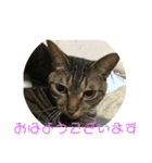 マーガレット その2.1（個別スタンプ：12）